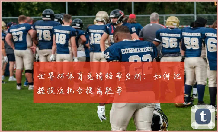 世界杯体育竞猜赔率分析：如何把握投注机会提高胜率