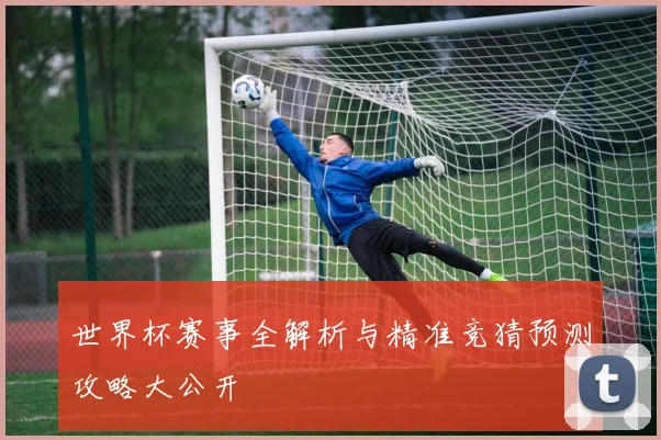 世界杯赛事全解析与精准竞猜预测攻略大公开