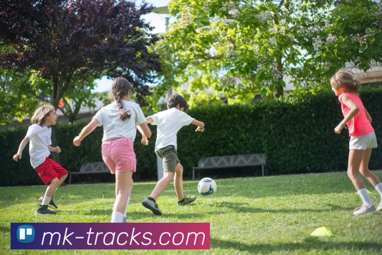 MK体育APP下载安装全攻略如何快速获得最新版本并享受丰富赛事功能